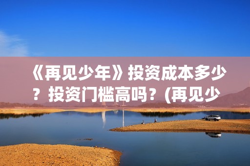 《再见少年》投资成本多少？投资门槛高吗？(再见少年个人投资真实吗)