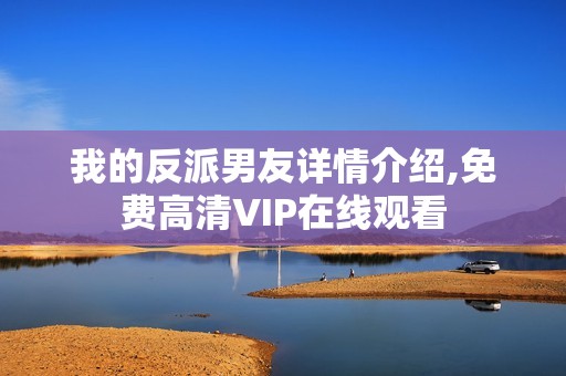 我的反派男友详情介绍,免费高清VIP在线观看
