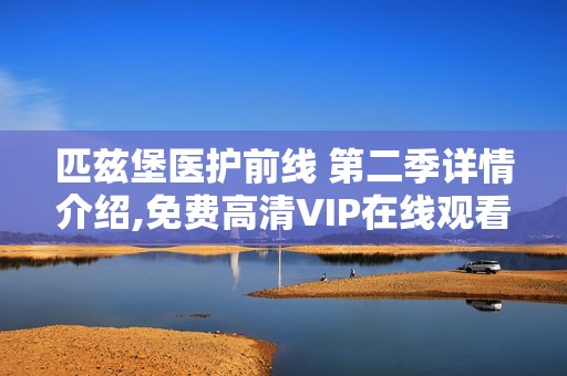 匹兹堡医护前线 第二季详情介绍,免费高清VIP在线观看