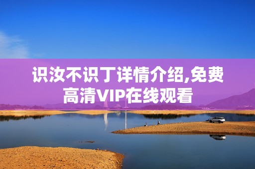 识汝不识丁详情介绍,免费高清VIP在线观看