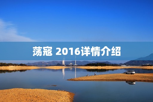 荡寇 2016详情介绍