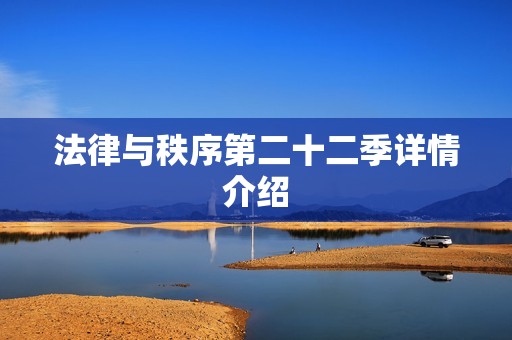 法律与秩序第二十二季详情介绍