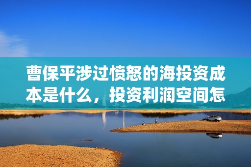 曹保平涉过愤怒的海投资成本是什么，投资利润空间怎么样(曹保平电影作品大全)