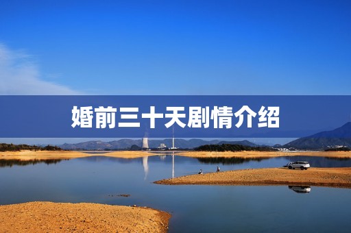 婚前三十天剧情介绍