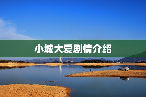小城大爱剧情介绍