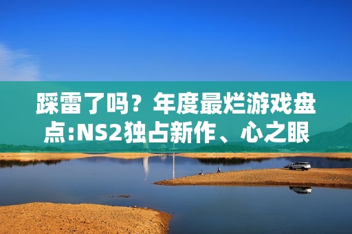 踩雷了吗？年度最烂游戏盘点:NS2独占新作、心之眼等