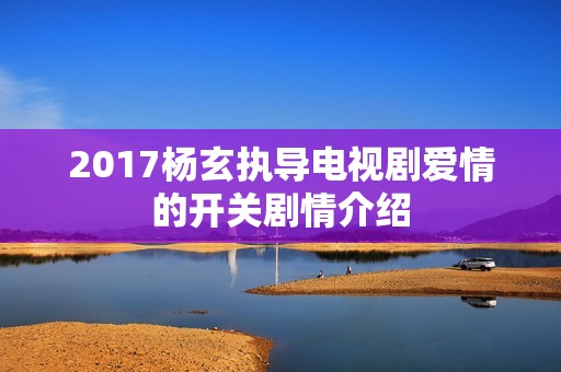 2017杨玄执导电视剧爱情的开关剧情介绍