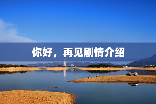 你好，再见剧情介绍