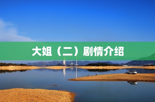 大姐（二）剧情介绍