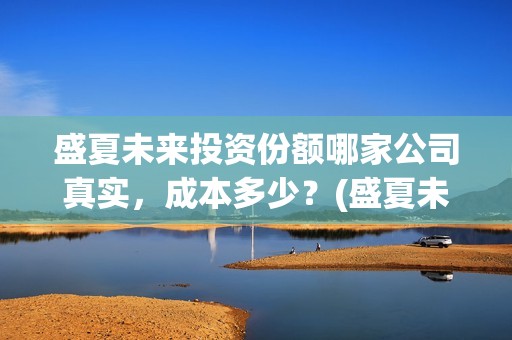 盛夏未来投资份额哪家公司真实，成本多少？(盛夏未来 投资方)