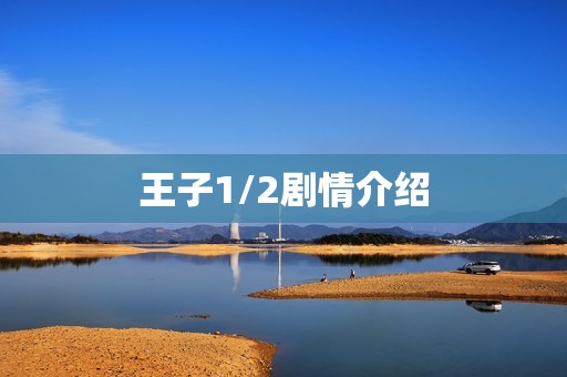 王子1/2剧情介绍