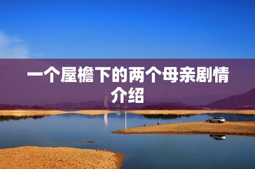 一个屋檐下的两个母亲剧情介绍