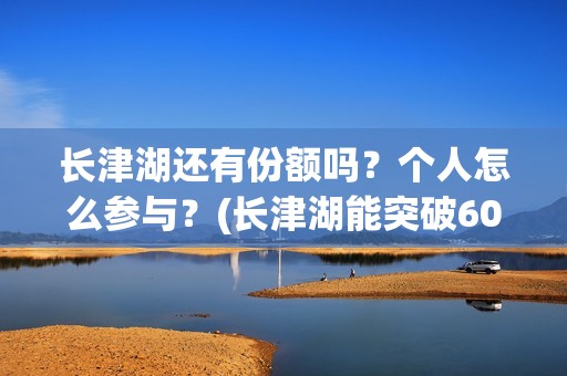 长津湖还有份额吗？个人怎么参与？(长津湖能突破60亿吗)
