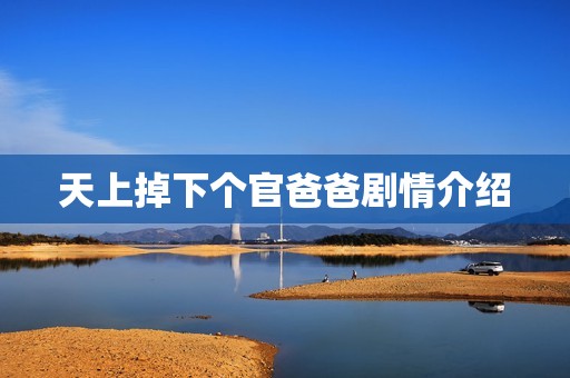 天上掉下个官爸爸剧情介绍