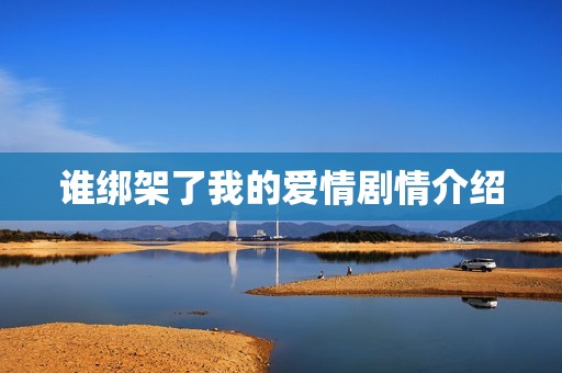 谁绑架了我的爱情剧情介绍