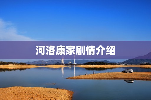河洛康家剧情介绍