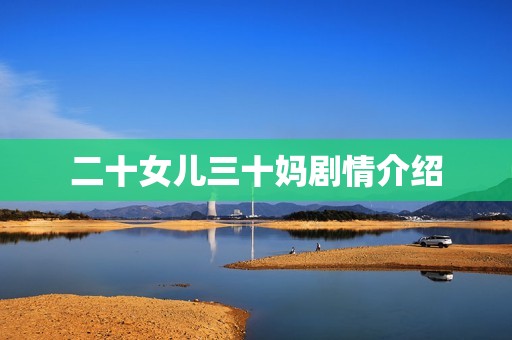 二十女儿三十妈剧情介绍