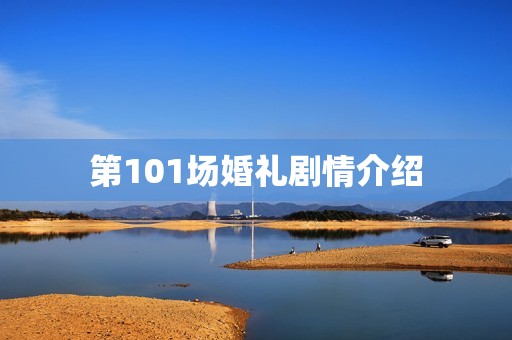 第101场婚礼剧情介绍