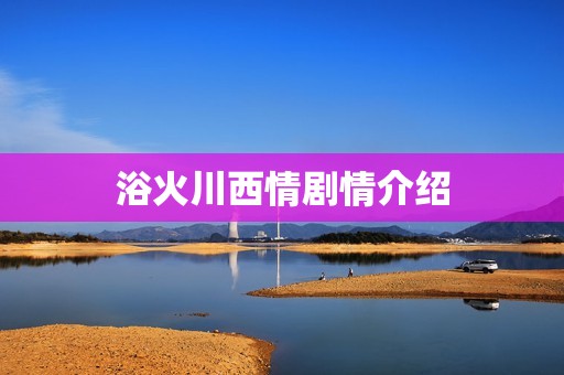 浴火川西情剧情介绍