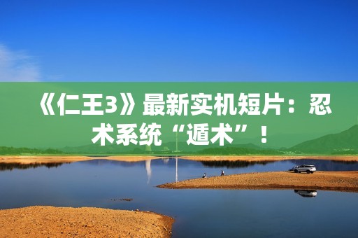 《仁王3》最新实机短片：忍术系统“遁术”！