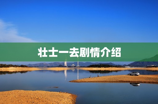 壮士一去剧情介绍