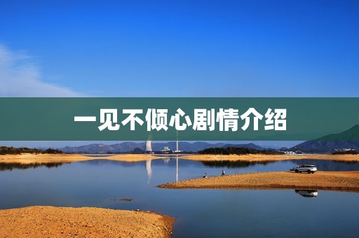 一见不倾心剧情介绍