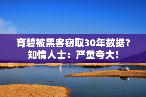 育碧被黑客窃取30年数据？知情人士：严重夸大！