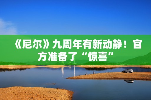 《尼尔》九周年有新动静！官方准备了“惊喜”