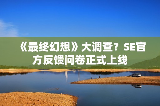 《最终幻想》大调查？SE官方反馈问卷正式上线