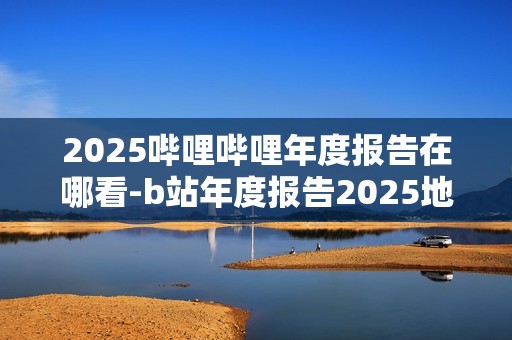 2025哔哩哔哩年度报告在哪看-b站年度报告2025地址分享