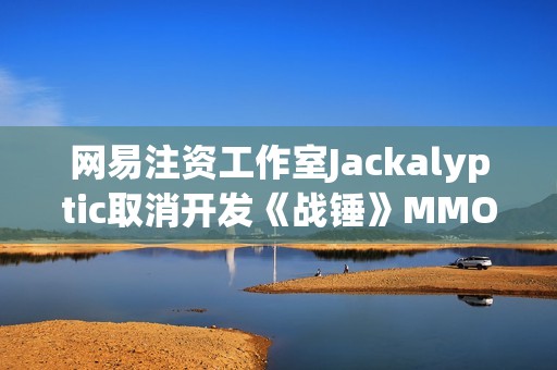 网易注资工作室Jackalyptic取消开发《战锤》MMORPG截图曝光