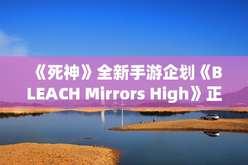 《死神》全新手游企划《BLEACH Mirrors High》正式启动