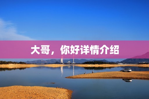 大哥，你好详情介绍