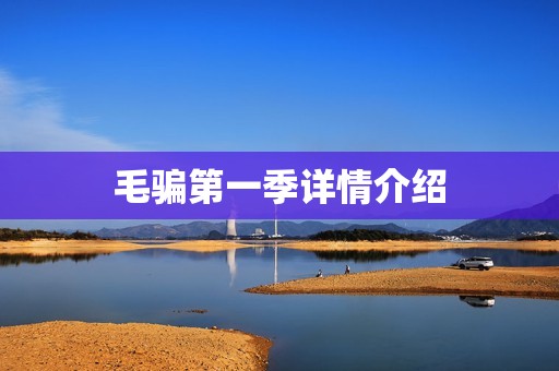 毛骗第一季详情介绍