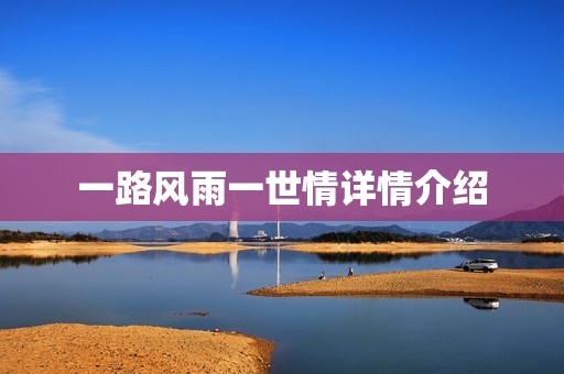 一路风雨一世情详情介绍