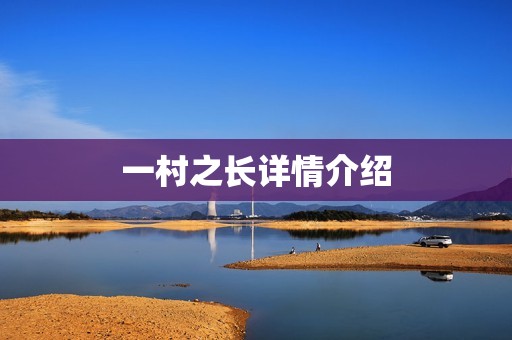 一村之长详情介绍
