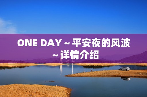 ONE DAY～平安夜的风波～详情介绍