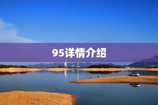 95详情介绍