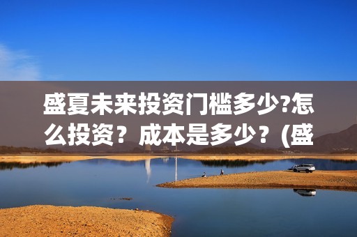盛夏未来投资门槛多少?怎么投资？成本是多少？(盛夏未来发行公司)