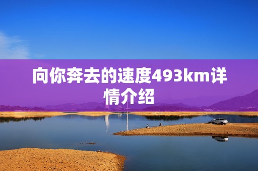 向你奔去的速度493km详情介绍