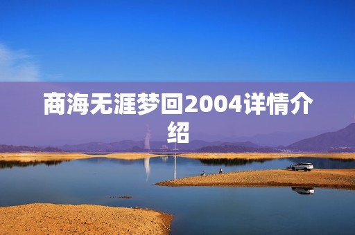 商海无涯梦回2004详情介绍