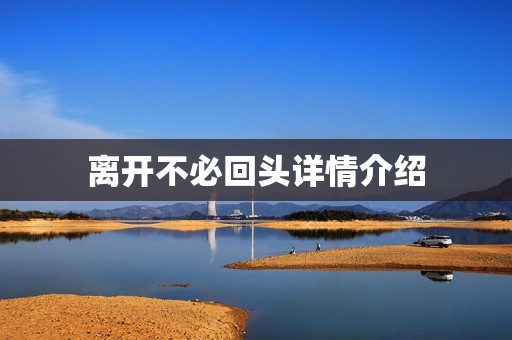 离开不必回头详情介绍