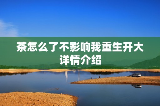 茶怎么了不影响我重生开大详情介绍