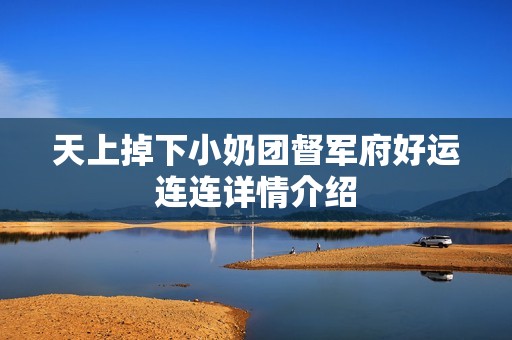 天上掉下小奶团督军府好运连连详情介绍