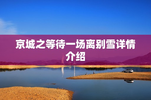 京城之等待一场离别雪详情介绍