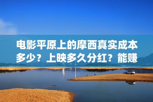 电影平原上的摩西真实成本多少？上映多久分红？能赚钱吗？(《平原上的摩西》迷雾剧场)