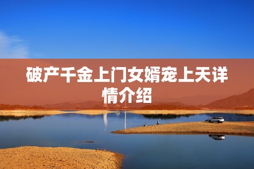 破产千金上门女婿宠上天详情介绍