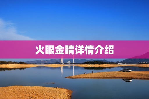 火眼金睛详情介绍