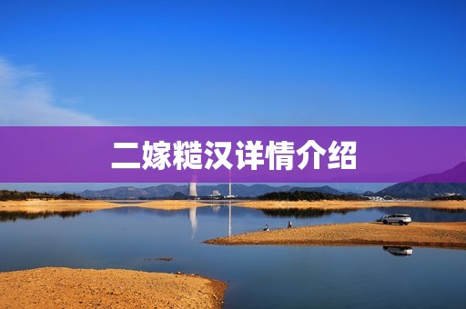 二嫁糙汉详情介绍