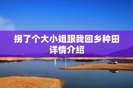 拐了个大小姐跟我回乡种田详情介绍